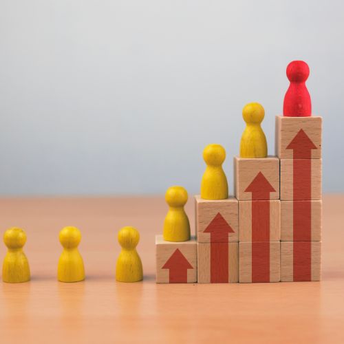 Change Management & Industrial Relations Consultant